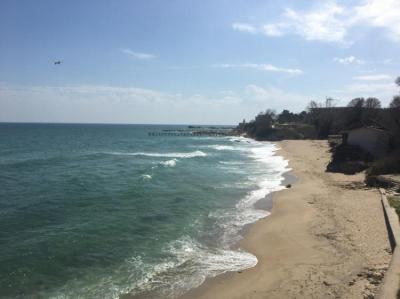 Playa Local Image